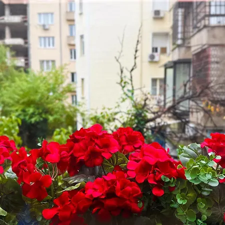 Stylish 2-bedroom Sofia